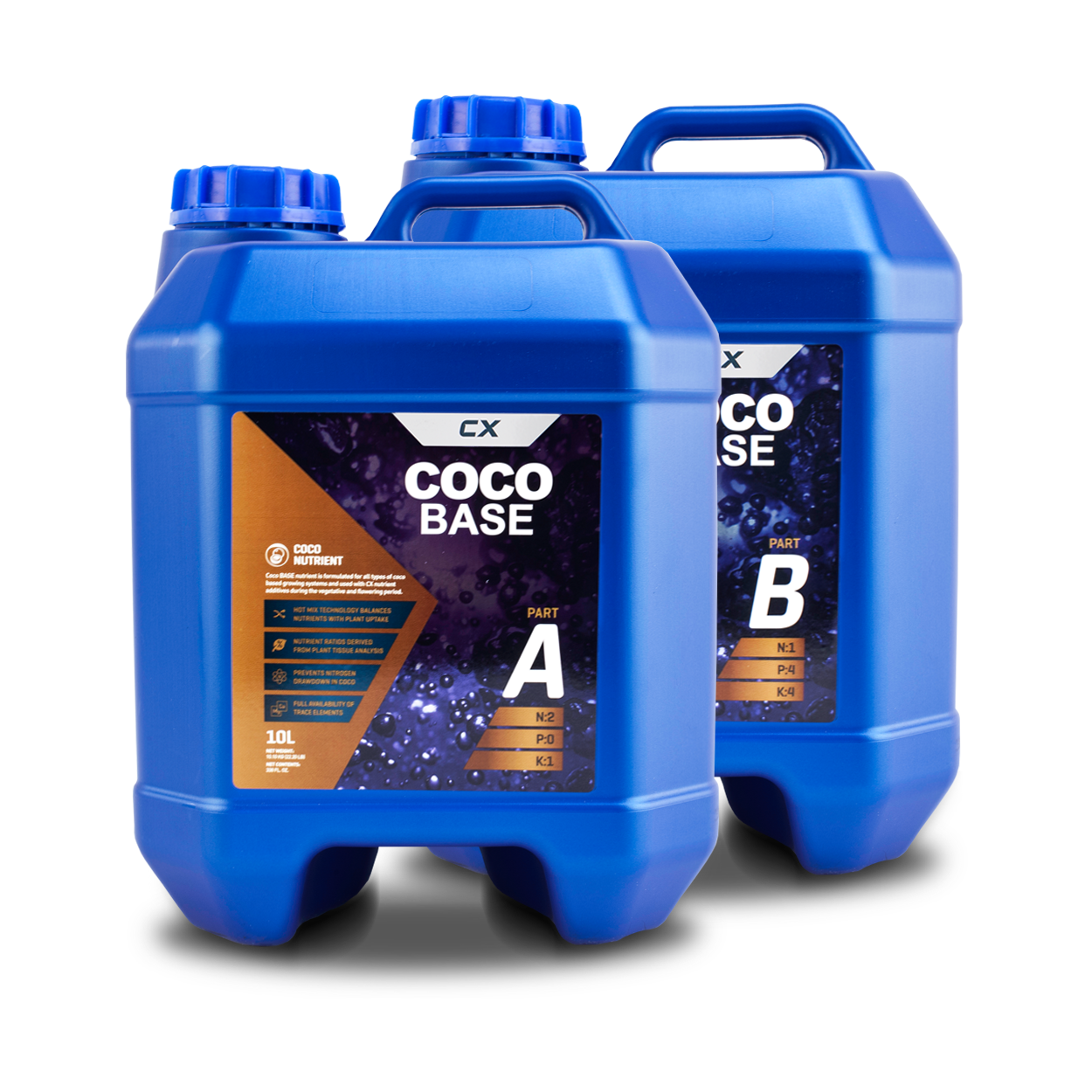 Coco Base A&B