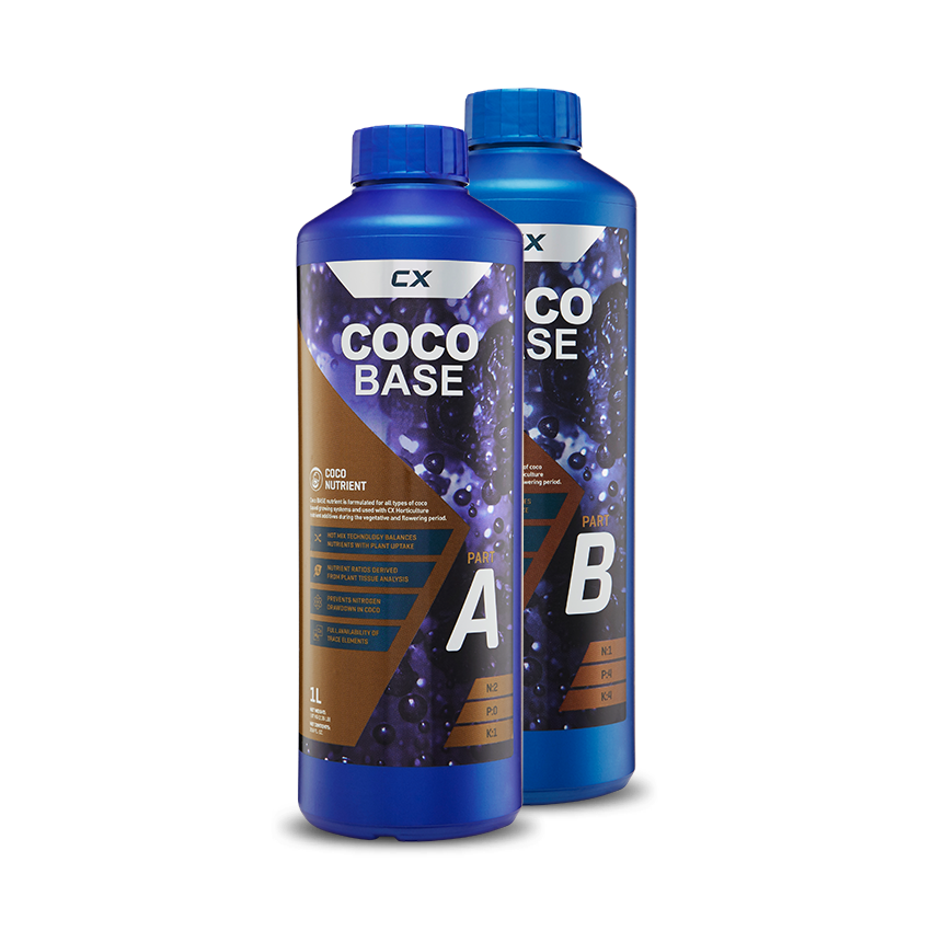 Coco Base A&B