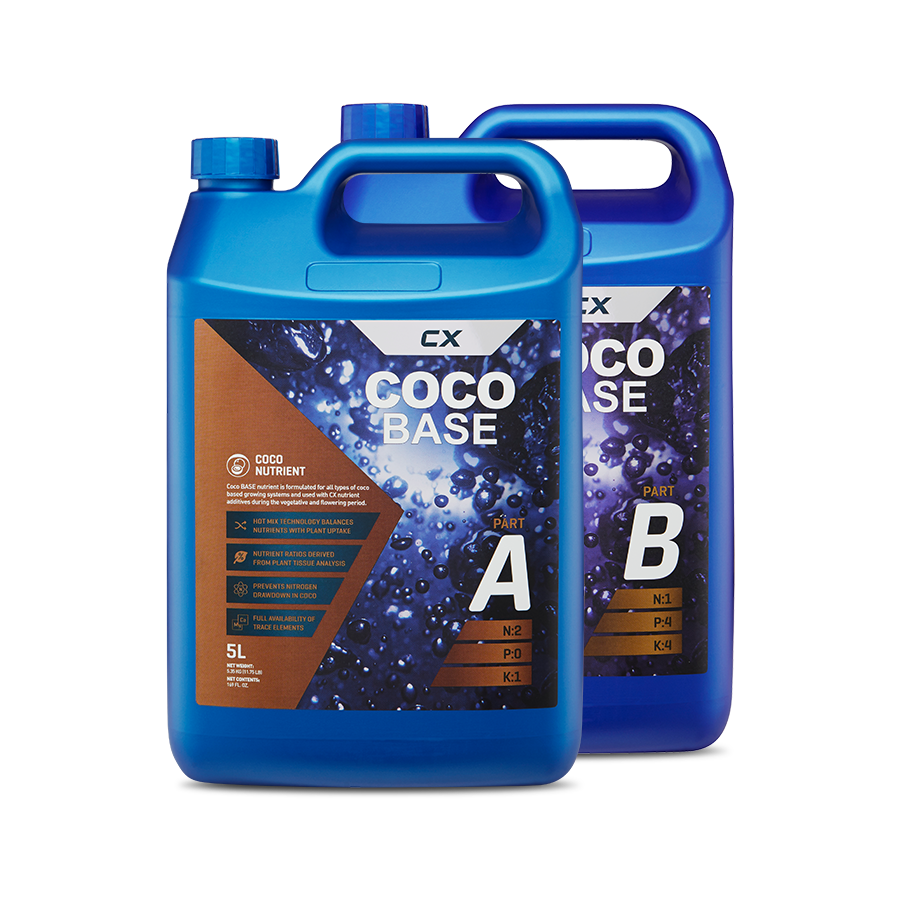 Coco Base A&B