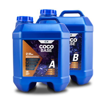 Coco Base A&B