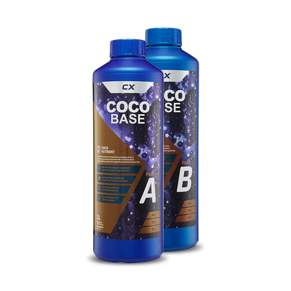 Coco Base A&B