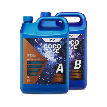 Coco Base A&B